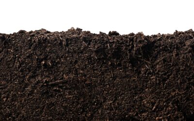 How Soil Works